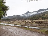 Malibu Creek State Park-53