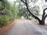 Malibu Creek State Park-59