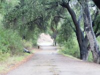 Malibu Creek State Park-60