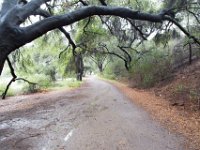 Malibu Creek State Park-61