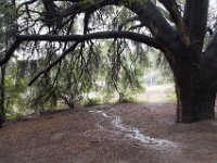 Malibu Creek State Park-62