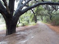 Malibu Creek State Park-63