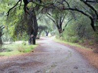 Malibu Creek State Park-64