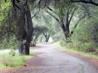 Malibu Creek State Park-65