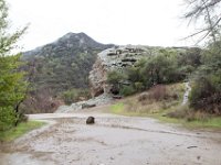 Malibu Creek State Park-66