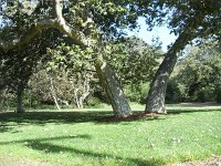 Temescal Gateway Park