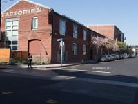 Mateo at Palmetto-Willow-14