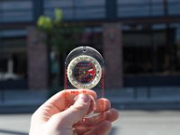 Mateo at Palmetto-Willow-156