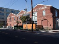 Mateo at Palmetto-Willow-16