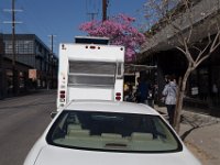 Mateo at Palmetto-Willow-168