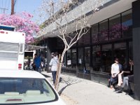 Mateo at Palmetto-Willow-169