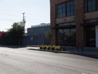 Mateo at Palmetto-Willow-171