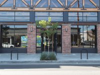 Mateo at Palmetto-Willow-174