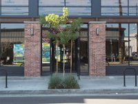 Mateo at Palmetto-Willow-177