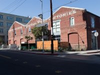 Mateo at Palmetto-Willow-19