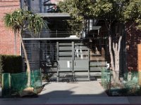 Mateo at Palmetto-Willow-22