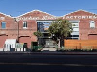 Mateo at Palmetto-Willow-24