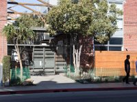 Mateo at Palmetto-Willow-28