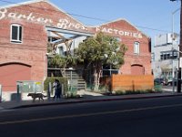 Mateo at Palmetto-Willow-30