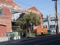 Mateo at Palmetto-Willow-37