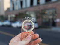 Mateo at Palmetto-Willow-48