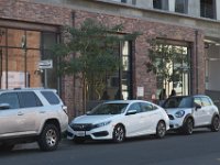 Mateo at Palmetto-Willow-5