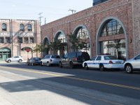 Mateo at Palmetto-Willow-61