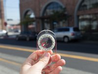 Mateo at Palmetto-Willow-69