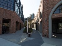 Mateo at Palmetto-Willow-76