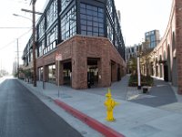 Mateo at Palmetto-Willow-77