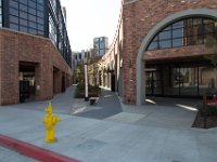 Mateo at Palmetto-Willow-78