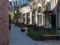 Mateo at Palmetto-Willow-81