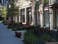 Mateo at Palmetto-Willow-84