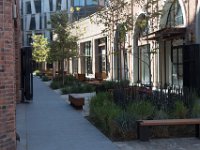 Mateo at Palmetto-Willow-85