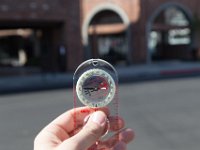 Mateo at Palmetto-Willow-87