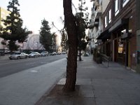 The Stocking Frame - DTLA-24