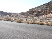 Abbott Dr - Red Rock-43