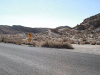 Abbott Dr - Red Rock-50