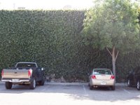 Fillmore Main Street-1