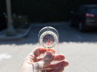 Fillmore Main Street-11