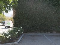 Fillmore Main Street-12