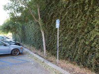 Fillmore Main Street-19