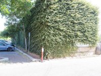 Fillmore Main Street-22