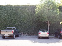 Fillmore Main Street-3