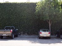 Fillmore Main Street-5