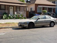 3368-3378-Lemon str-003