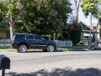 3368-3378-Lemon str-006