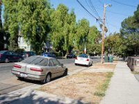 3368-3378-Lemon str-007