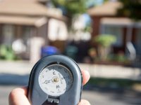 3368-3378-Lemon str-008