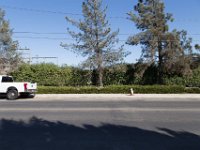 Santa Paula Main Street-34